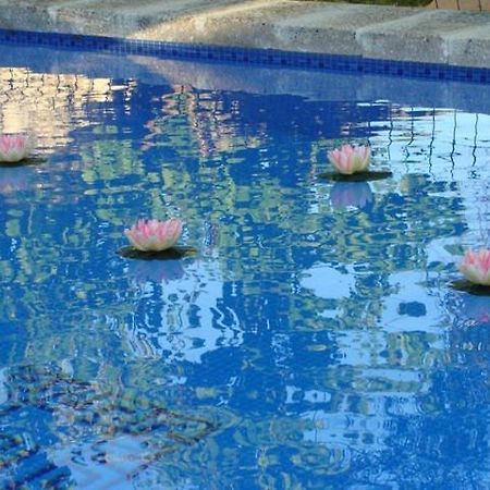 מלון Arcas De Agua מראה חיצוני תמונה