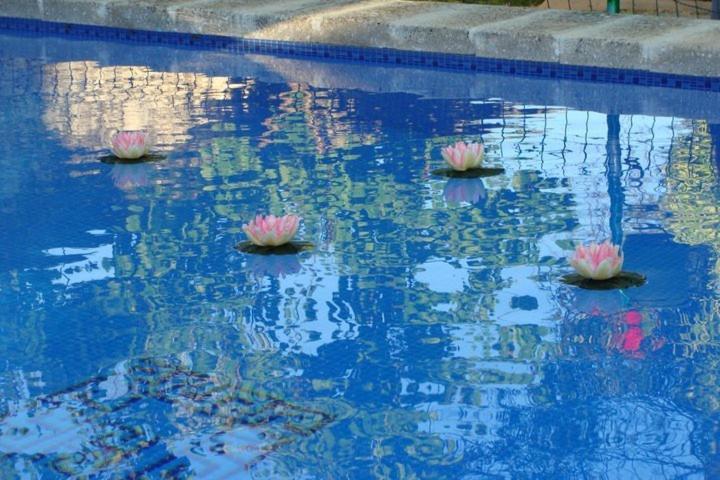 מלון Arcas De Agua מראה חיצוני תמונה